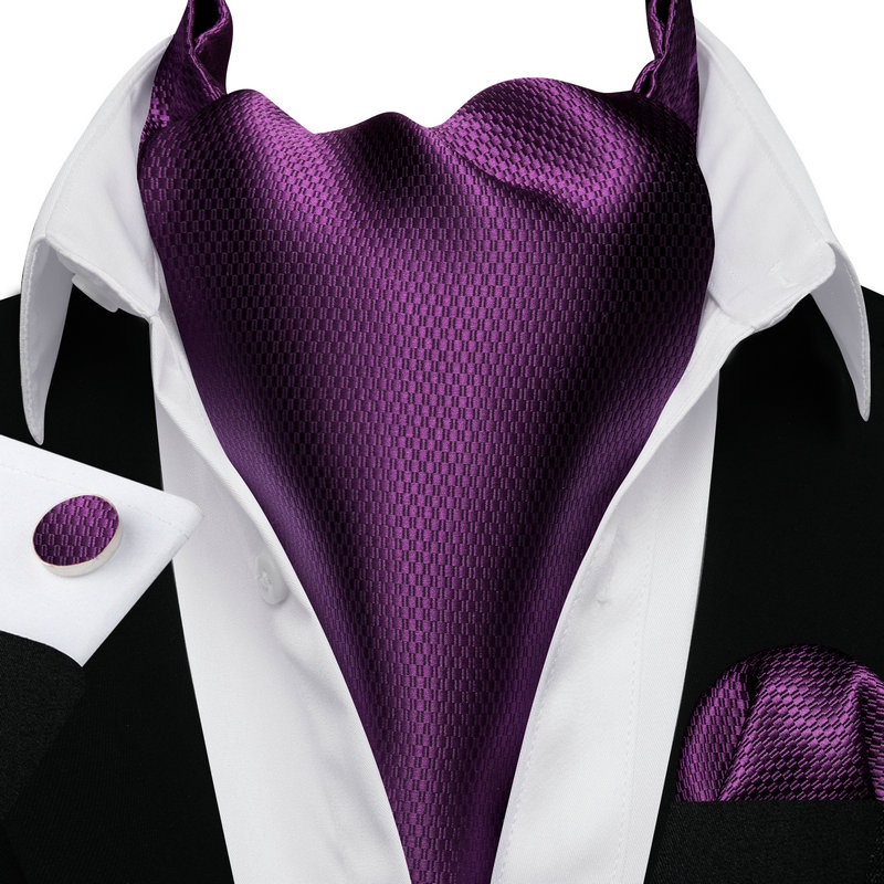 Barry.Wang Men's Ascot Pocket  - Pocket Square Set 评论和价格